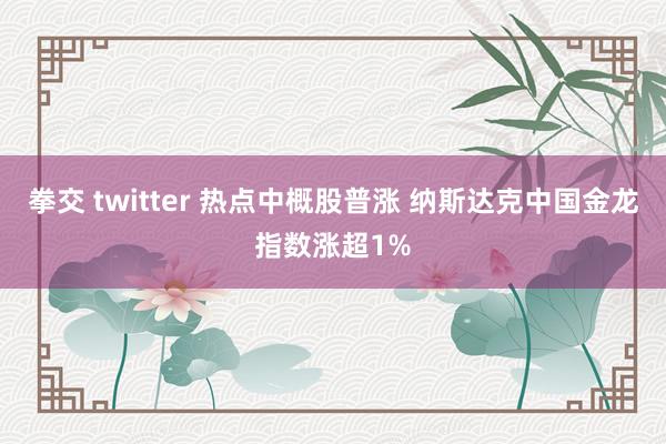 拳交 twitter 热点中概股普涨 纳斯达克中国金龙指数涨超1%