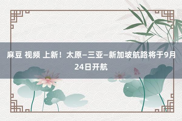 麻豆 视频 上新！太原—三亚—新加坡航路将于9月24日开航