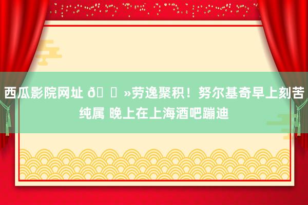 西瓜影院网址 👻劳逸聚积！努尔基奇早上刻苦纯属 晚上在上海酒吧蹦迪