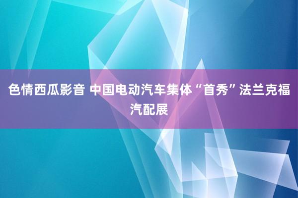 色情西瓜影音 中国电动汽车集体“首秀”法兰克福汽配展