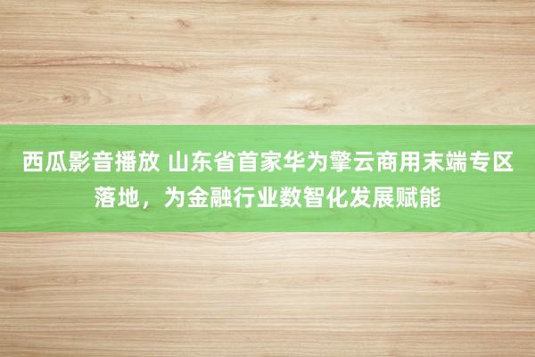 西瓜影音播放 山东省首家华为擎云商用末端专区落地，为金融行业数智化发展赋能