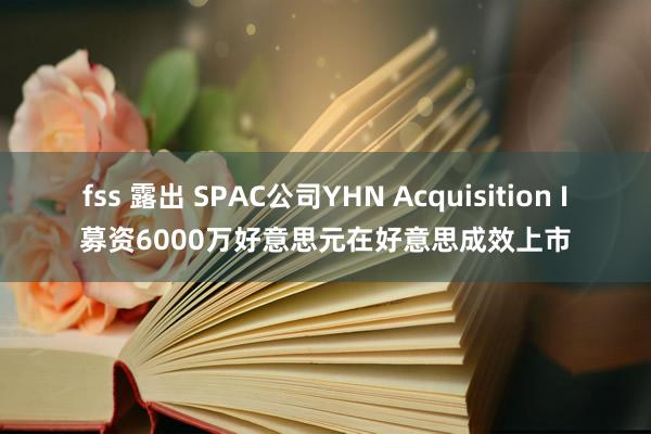 fss 露出 SPAC公司YHN Acquisition I募资6000万好意思元在好意思成效上市