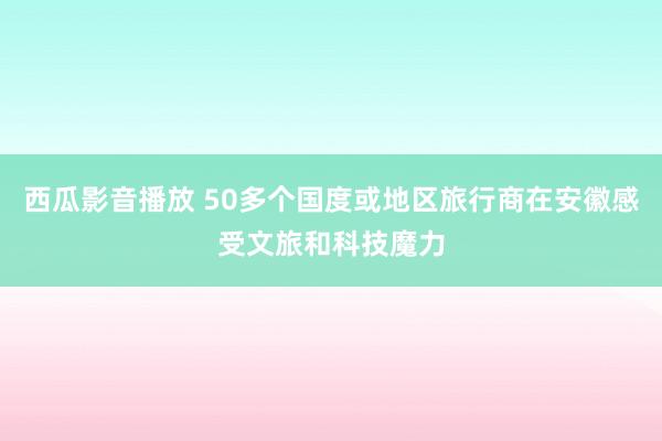 西瓜影音播放 50多个国度或地区旅行商在安徽感受文旅和科技魔力