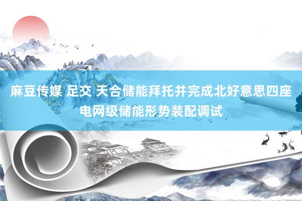 麻豆传媒 足交 天合储能拜托并完成北好意思四座电网级储能形势装配调试