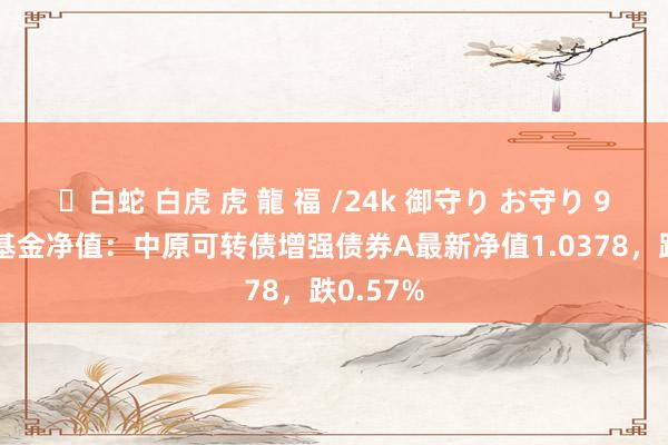 ✨白蛇 白虎 虎 龍 福 /24k 御守り お守り 9月23日基金净值：中原可转债增强债券A最新净值1.0378，跌0.57%