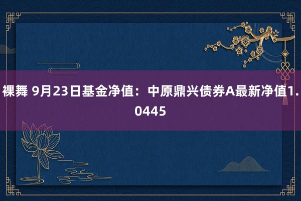 裸舞 9月23日基金净值：中原鼎兴债券A最新净值1.0445