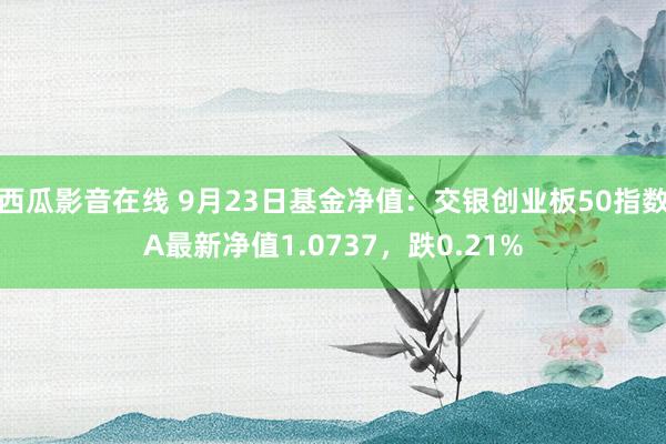 西瓜影音在线 9月23日基金净值：交银创业板50指数A最新净值1.0737，跌0.21%