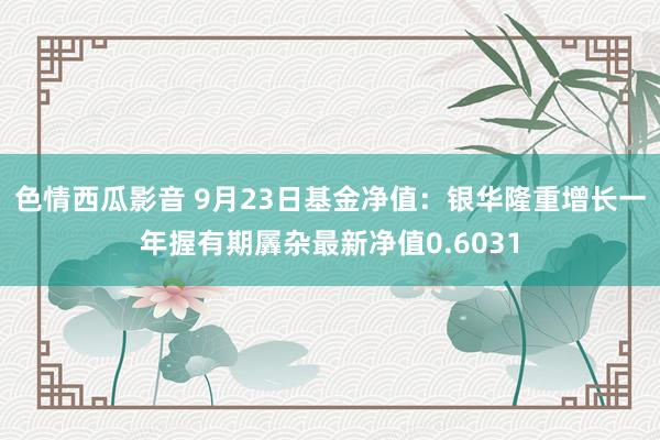 色情西瓜影音 9月23日基金净值：银华隆重增长一年握有期羼杂最新净值0.6031