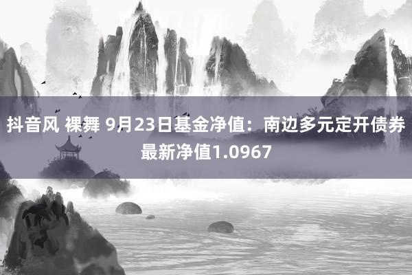 抖音风 裸舞 9月23日基金净值：南边多元定开债券最新净值1.0967