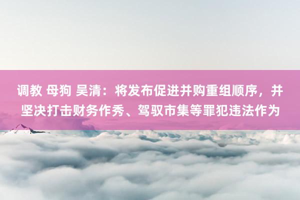 调教 母狗 吴清：将发布促进并购重组顺序，并坚决打击财务作秀、驾驭市集等罪犯违法作为