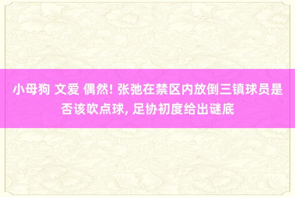 小母狗 文爱 偶然! 张弛在禁区内放倒三镇球员是否该吹点球， 足协初度给出谜底