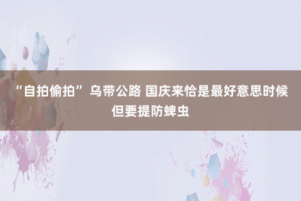 “自拍偷拍” 乌带公路 国庆来恰是最好意思时候但要提防蜱虫