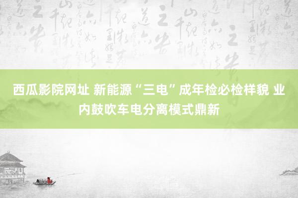 西瓜影院网址 新能源“三电”成年检必检样貌 业内鼓吹车电分离模式鼎新