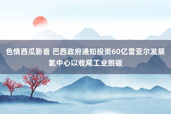 色情西瓜影音 巴西政府通知投资60亿雷亚尔发展氢中心以收尾工业脱碳