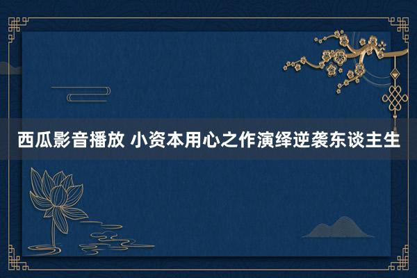 西瓜影音播放 小资本用心之作演绎逆袭东谈主生