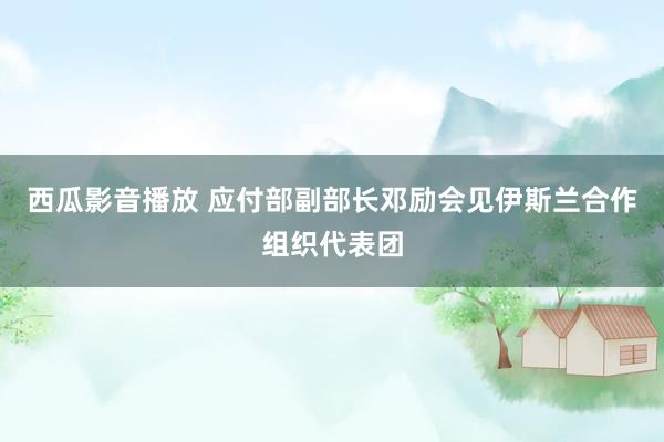 西瓜影音播放 应付部副部长邓励会见伊斯兰合作组织代表团