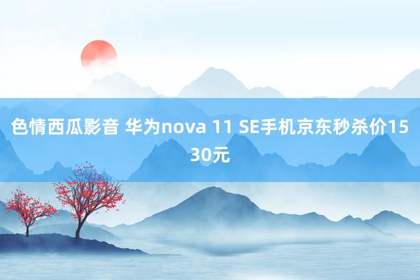 色情西瓜影音 华为nova 11 SE手机京东秒杀价1530元