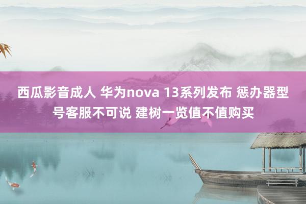 西瓜影音成人 华为nova 13系列发布 惩办器型号客服不可说 建树一览值不值购买