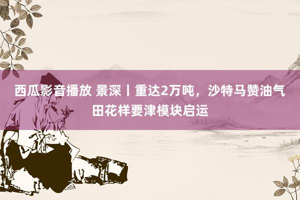 西瓜影音播放 景深丨重达2万吨，沙特马赞油气田花样要津模块启运