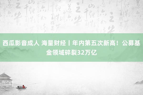 西瓜影音成人 海量财经丨年内第五次新高！公募基金领域碎裂32万亿