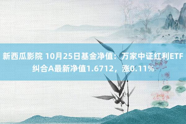 新西瓜影院 10月25日基金净值：万家中证红利ETF纠合A最新净值1.6712，涨0.11%