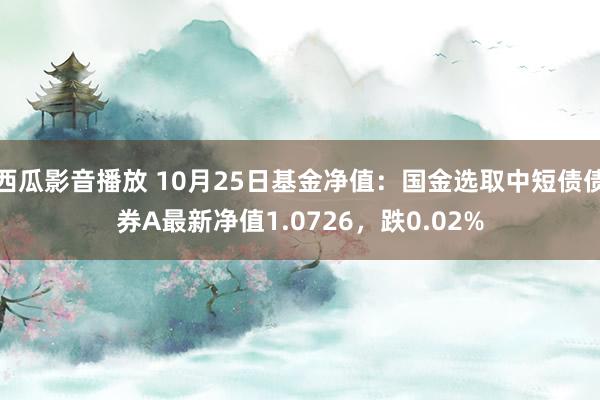 西瓜影音播放 10月25日基金净值：国金选取中短债债券A最新净值1.0726，跌0.02%