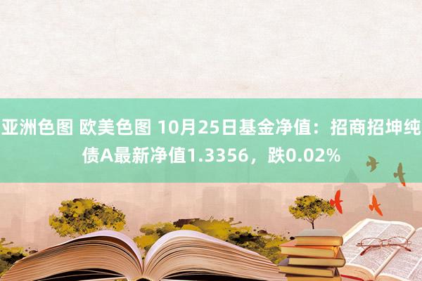 亚洲色图 欧美色图 10月25日基金净值：招商招坤纯债A最新净值1.3356，跌0.02%