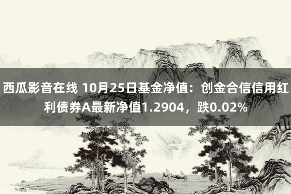 西瓜影音在线 10月25日基金净值：创金合信信用红利债券A最新净值1.2904，跌0.02%