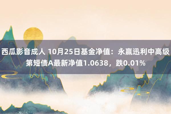 西瓜影音成人 10月25日基金净值：永赢迅利中高级第短债A最新净值1.0638，跌0.01%