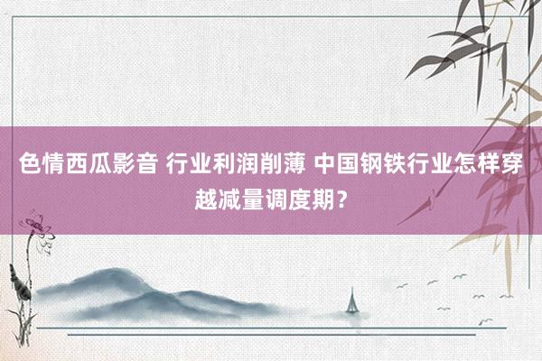 色情西瓜影音 行业利润削薄 中国钢铁行业怎样穿越减量调度期？