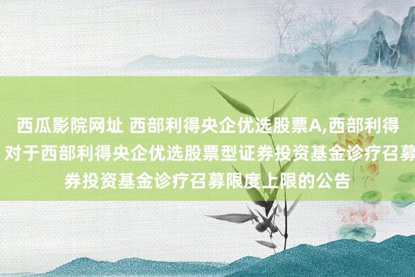 西瓜影院网址 西部利得央企优选股票A，西部利得央企优选股票C: 对于西部利得央企优选股票型证券投资基金诊疗召募限度上限的公告