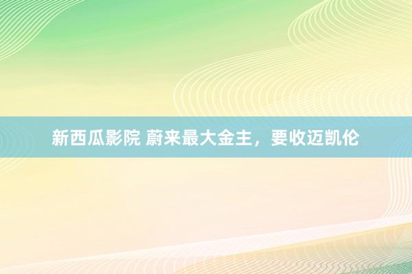 新西瓜影院 蔚来最大金主，要收迈凯伦