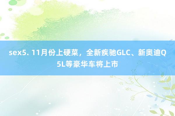 sex5. 11月份上硬菜，全新疾驰GLC、新奥迪Q5L等豪华车将上市