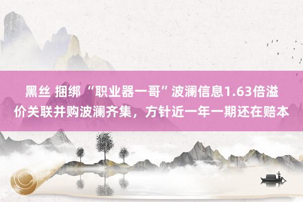 黑丝 捆绑 “职业器一哥”波澜信息1.63倍溢价关联并购波澜齐集，方针近一年一期还在赔本