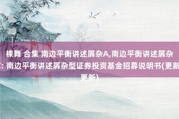 裸舞 合集 南边平衡讲述羼杂A，南边平衡讲述羼杂C: 南边平衡讲述羼杂型证券投资基金招募说明书(更新)