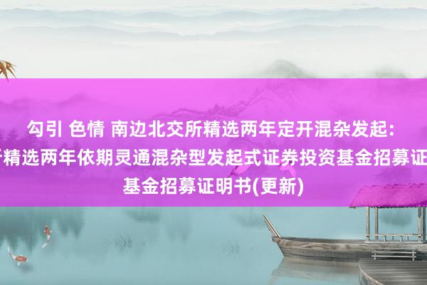 勾引 色情 南边北交所精选两年定开混杂发起: 南边北交所精选两年依期灵通混杂型发起式证券投资基金招募证明书(更新)