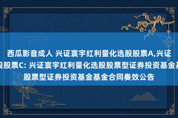 西瓜影音成人 兴证寰宇红利量化选股股票A，兴证寰宇红利量化选股股票C: 兴证寰宇红利量化选股股票型证券投资基金基金合同奏效公告