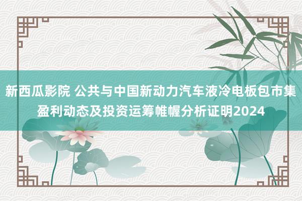 新西瓜影院 公共与中国新动力汽车液冷电板包市集盈利动态及投资运筹帷幄分析证明2024