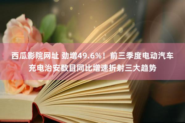 西瓜影院网址 劲增49.6%！前三季度电动汽车充电治安数目同比增速折射三大趋势