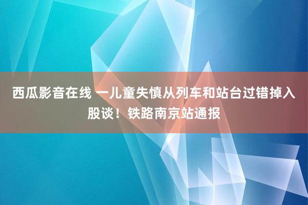 西瓜影音在线 一儿童失慎从列车和站台过错掉入股谈！铁路南京站通报