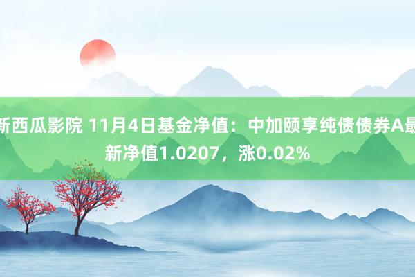 新西瓜影院 11月4日基金净值：中加颐享纯债债券A最新净值1.0207，涨0.02%