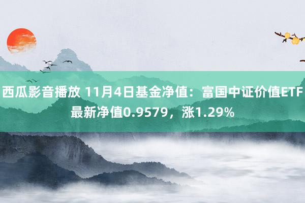 西瓜影音播放 11月4日基金净值：富国中证价值ETF最新净值0.9579，涨1.29%