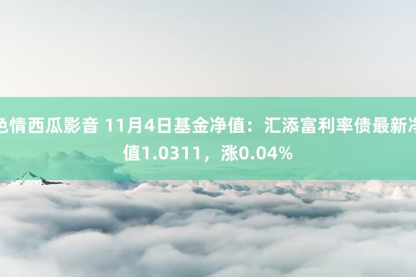 色情西瓜影音 11月4日基金净值：汇添富利率债最新净值1.0311，涨0.04%