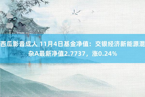 西瓜影音成人 11月4日基金净值：交银经济新能源混杂A最新净值2.7737，涨0.24%