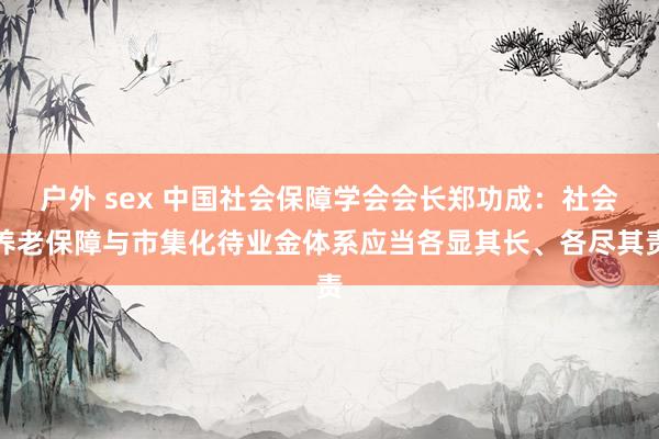 户外 sex 中国社会保障学会会长郑功成：社会养老保障与市集化待业金体系应当各显其长、各尽其责