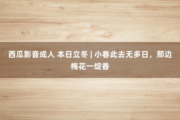 西瓜影音成人 本日立冬 | 小春此去无多日，那边梅花一绽香