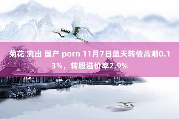 菊花 流出 国产 porn 11月7日蓝天转债高潮0.13%，转股溢价率2.9%