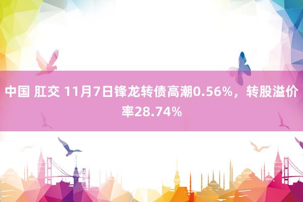 中国 肛交 11月7日锋龙转债高潮0.56%，转股溢价率28.74%