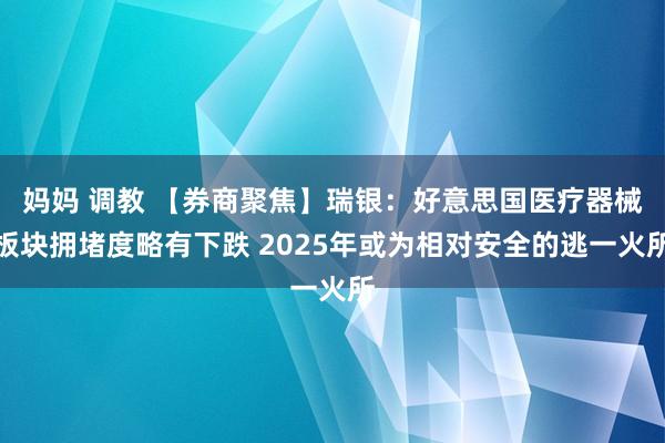 妈妈 调教 【券商聚焦】瑞银：好意思国医疗器械板块拥堵度略有下跌 2025年或为相对安全的逃一火所