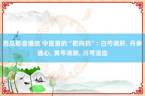 西瓜影音播放 中医里的“靶向药”: 白芍调肝， 丹参通心， 黄芩清肺， 川芎活血